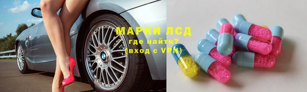 прущие грибы Белокуриха